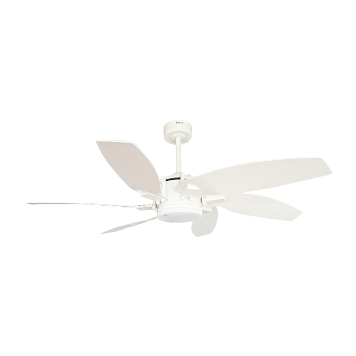 Quạt trần BENNY 38W BF-C52B6W